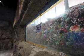 kocaeli-akvaryum-icin-geri-sayim-basladi-30-farkli-akvaryum-essiz-gezi-yasatacak-1775830799-14_large