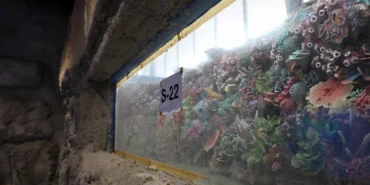 kocaeli-akvaryum-icin-geri-sayim-basladi-30-farkli-akvaryum-essiz-gezi-yasatacak-1775830799-14_large