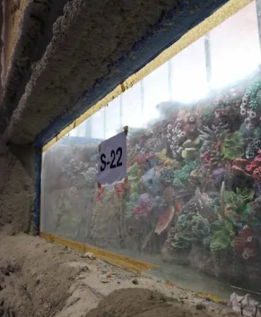 kocaeli-akvaryum-icin-geri-sayim-basladi-30-farkli-akvaryum-essiz-gezi-yasatacak-1775830799-14_large