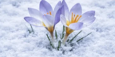 kocaeli-de-keltepe-cigdemi-buyuledi-1776926077-890_large