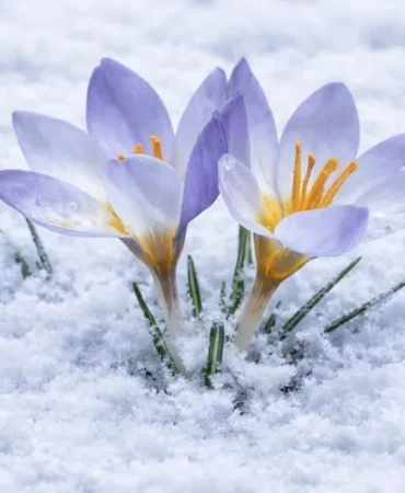 kocaeli-de-keltepe-cigdemi-buyuledi-1776926077-890_large