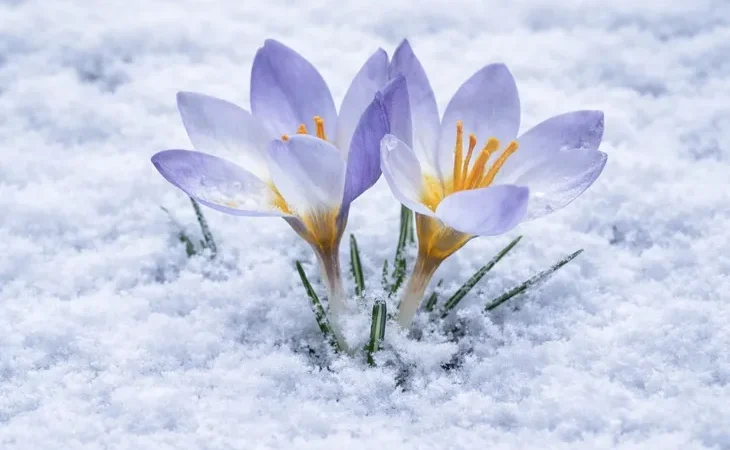 kocaeli-de-keltepe-cigdemi-buyuledi-1776926077-890_large