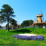 sakarya-da-baharin-buyuleyici-cumbusu-1775569638-5_large