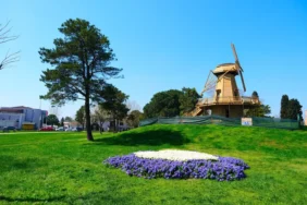 sakarya-da-baharin-buyuleyici-cumbusu-1775569638-5_large