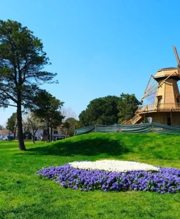 sakarya-da-baharin-buyuleyici-cumbusu-1775569638-5_large