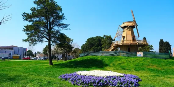 Sakarya’da baharın büyüleyici cümbüşü