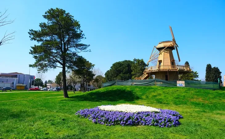 sakarya-da-baharin-buyuleyici-cumbusu-1775569638-5_large