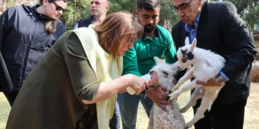 turkiye-de-dogan-ilk-bebek-zurafa-ziyaretcilerle-bulustu-1777013352-116_large