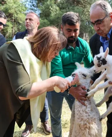 turkiye-de-dogan-ilk-bebek-zurafa-ziyaretcilerle-bulustu-1777013352-116_large