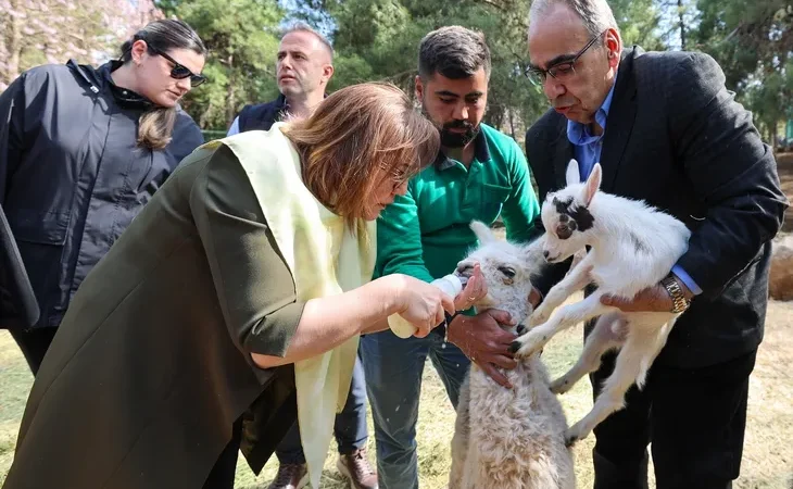 turkiye-de-dogan-ilk-bebek-zurafa-ziyaretcilerle-bulustu-1777013352-116_large