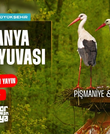 Düşkün Leylekler Evi’nde engel tanımayan aşk (1)