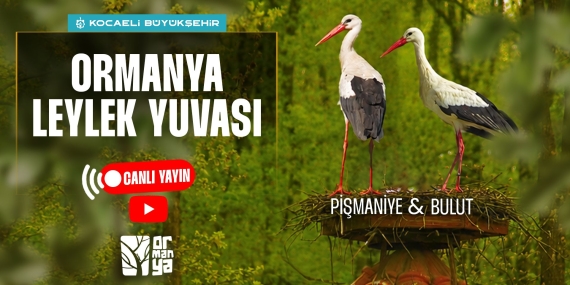 Düşkün Leylekler Evi’nde engel tanımayan aşk