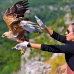 antalya-da-kzl-ahin-yeniden-kanatland_large