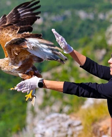 antalya-da-kzl-ahin-yeniden-kanatland_large
