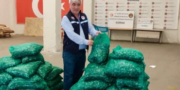kapikule-de-midye-sabiha-gokcen-de-tibbi-suluk-operasyonu-1-5-milyon-tl-lik-ceza-1779285809-259_large