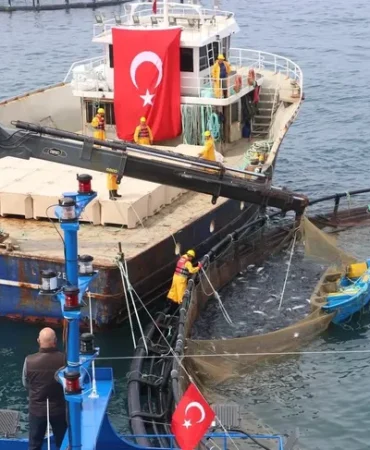 turk-somonu-ihracatta-rekor-yolunda-uretim-75-bin-tona-ulasti-1778429713-795_large