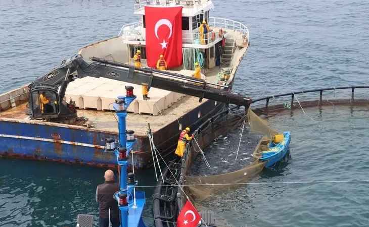 turk-somonu-ihracatta-rekor-yolunda-uretim-75-bin-tona-ulasti-1778429713-795_large