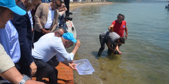 “Yaşamın İzinde: Deniz Yuvaları Projesi” Darıca Sahili’nde Büyüyor