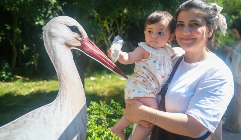 Ormanya’da yavru leylek Atlas’a sürpriz kutlama (4) (Büyük)