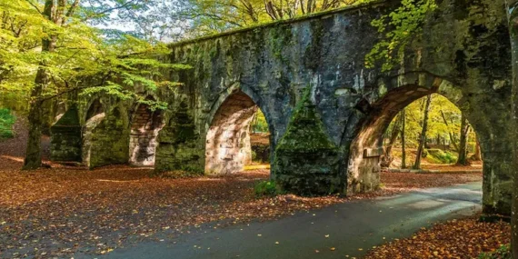 İstanbul’da ormanlara giriş yasaklandı