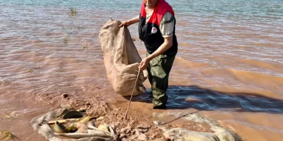Keban Baraj Gölü’nde 700 kilo canlı sazan kurtarıldı!