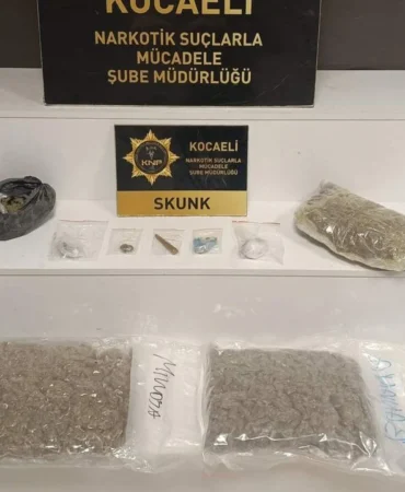 1skank