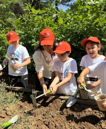 Atatürk_Arboretumu_104734774