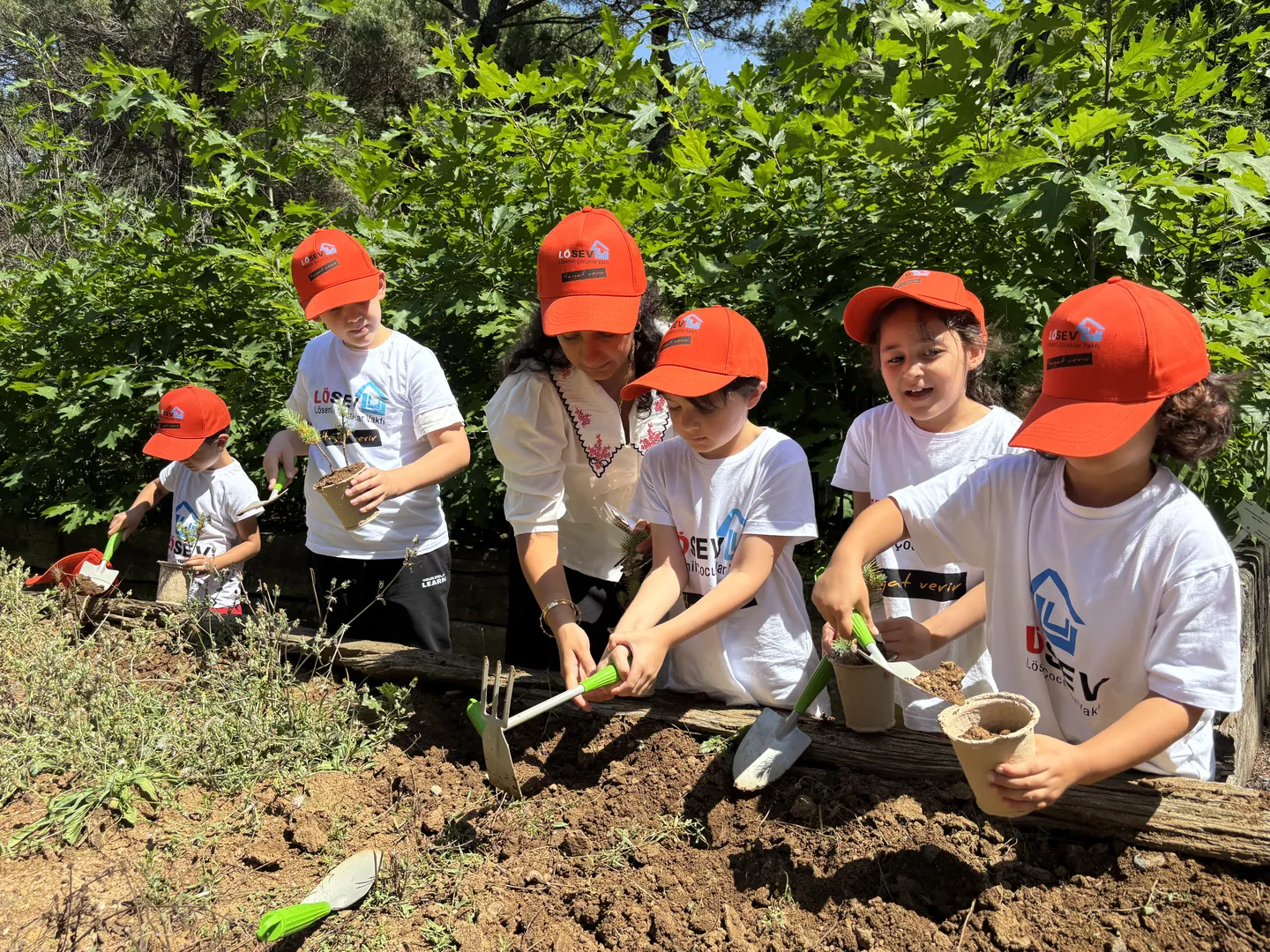 Atatürk_Arboretumu_104734774