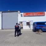 İzmit