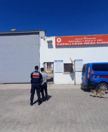 İzmit