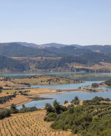 izmir-ve-manisa-dan-dev-cevre-is-birligi-gordes-e-2-bin-donumluk-bal-ormani-geliyor-1784705809-448_large