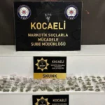 narrkkottik