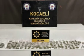 narrkkottik