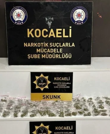 narrkkottik