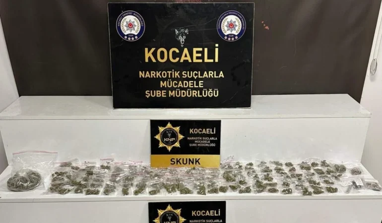 narrkkottik