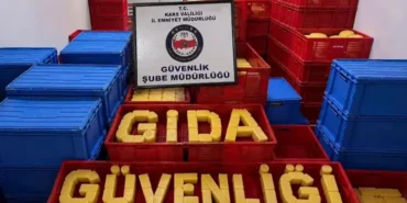 81-ilde-gida-guvenligi-operasyonu-61-milyon-liralik-sahte-ve-tagsisli-urun-ele-gecirildi-1791011432-857_large